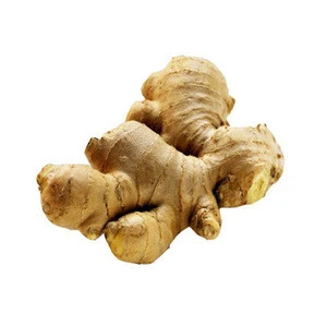 New crop Brazil fresh ginger from professional factory