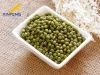 New Crop Green Mung Bean  from China