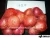 Import new crop onion red onion from China