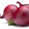 New crop red onion with low price