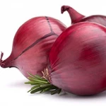 New crop red onion with low price