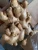 Import NEW CROP VIETNAM FRESH/OLD GINGER, BIG SIZE HERB from China