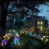 New Version Solar Outdoor 3 Lily Flower Garden Lights Butterfly & Hummingbird Decorative Lights Waterproof Multi-Color LED Light