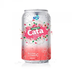 OEM Beverage Company From Vietnam Private Label 250ml Can Best Refesh Beverage Carbonated Drink With Mangosteen Flavor