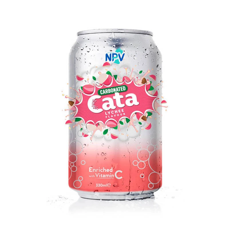 OEM Beverage Company From Vietnam Private Label 250ml Can Best Refesh Beverage Carbonated Drink With Mangosteen Flavor