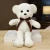 Import OEM Custom logo cute bear  plush toy animals toys soft mascot teddy bear with tshirt from China