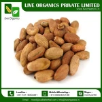 Organic Cocoa Seeds at Low Price
