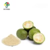 Organic Monk fruit extract 100:1 powder mogroside v 30%-50%