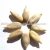 Import organic sunflower kernel from China