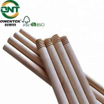 palm broom stick	cleaning brushes wood escobas stick making machine