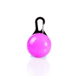 Pet Products Anti Lost Safty Flashing Led Dog Collar Tags