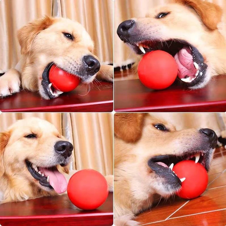 Pet toys bite resistant molar ball training interactive funny toys with rope rubber ball solid elastic ball