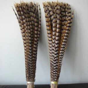 Pheasant Feather/decoration feather
