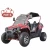 Import phyes CE Approved 200cc UTV from China