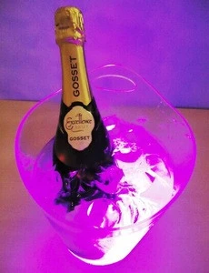 Plastic one bottle champagne ice bucket with stand