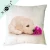 Import Popular Design Wholesale Dog Pillow Case Linen Cotton Cushion Cover Digital Printed Throw Pillow Cover from China