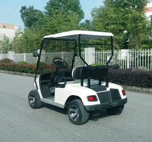 Portable Electricity Golf Cart 2 Seats Moving Trolley Golf Buggy
