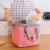 Import Portable insulated cooler lunch bag picnic bag for women work picnic hiking beach fishing from China