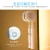 Import Portable  UVC LED Toothbrush Sterilizer UV Sanitizer USB Charge from China