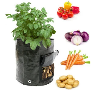 Potato Grow Bag PE Vegetable Onion Plant Bag with Handle Thickened Garden Carrot Taro Peanut Backyard Growing Bag