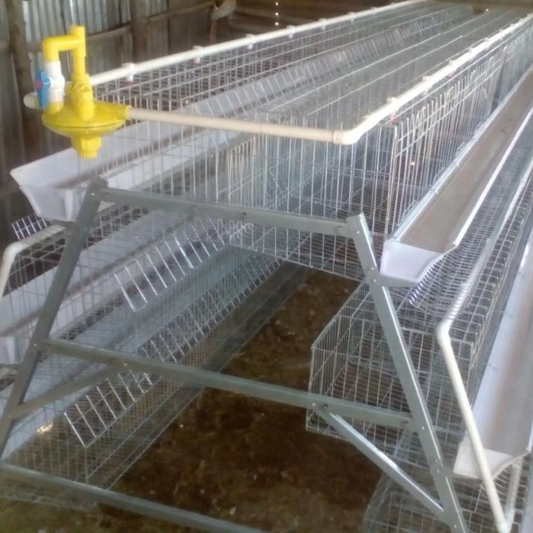 Poultry farm with the equipments/ low cost chicken house /