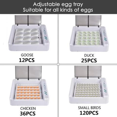 poultry home use brooder 36 parrot eggs incubator chicken hatching machine price for sale
