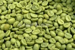 Premium Arabica Green Beans Coffee From Thailand (Doichang)