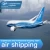 Import Professional Shopify Dropshipping Door to Door Services from China to Brazil USA EU Clearance Customized Transit Battery Time from China
