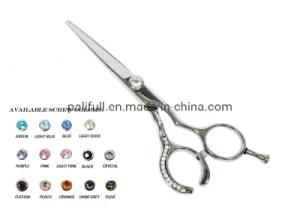 Professional Stainless Steel Hair Scissors