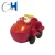 Import Promotional Creative 40mm pink and yellow PP Cartoon car Capsule toy from Hong Kong