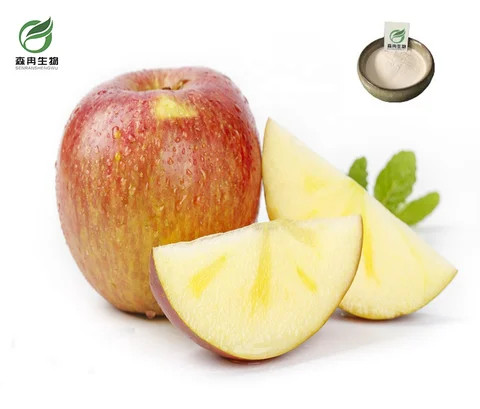 Pure Natural Apple Extract weight loss apple cider vinegar powder