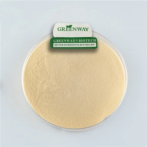 Pure Natural Fine Quinoa Powder Quinoa Protein Extract Powder