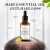 Import QQLR Private Label Protect Hair Strong Repair Protect Bifurcate to Improve Hair Essential Oil Hair Care Essential Oil from China