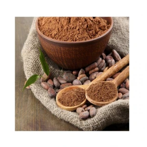 Quality Fresh Cocoa Beans From Peru Wholesale