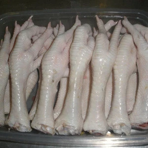 Quality HALAL Frozen Chicken Feet from Hungary - Poultry Meat