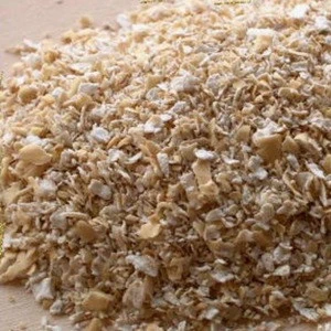 Quality whole oats for oats flakes
