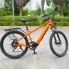 RaiderRace-European and American quality 27.5 inch electric city bike 250W motor electric bicycle with 25m/h speed