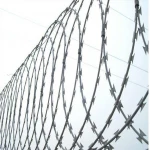Razor Barbed Wire Concertina Wire for sales