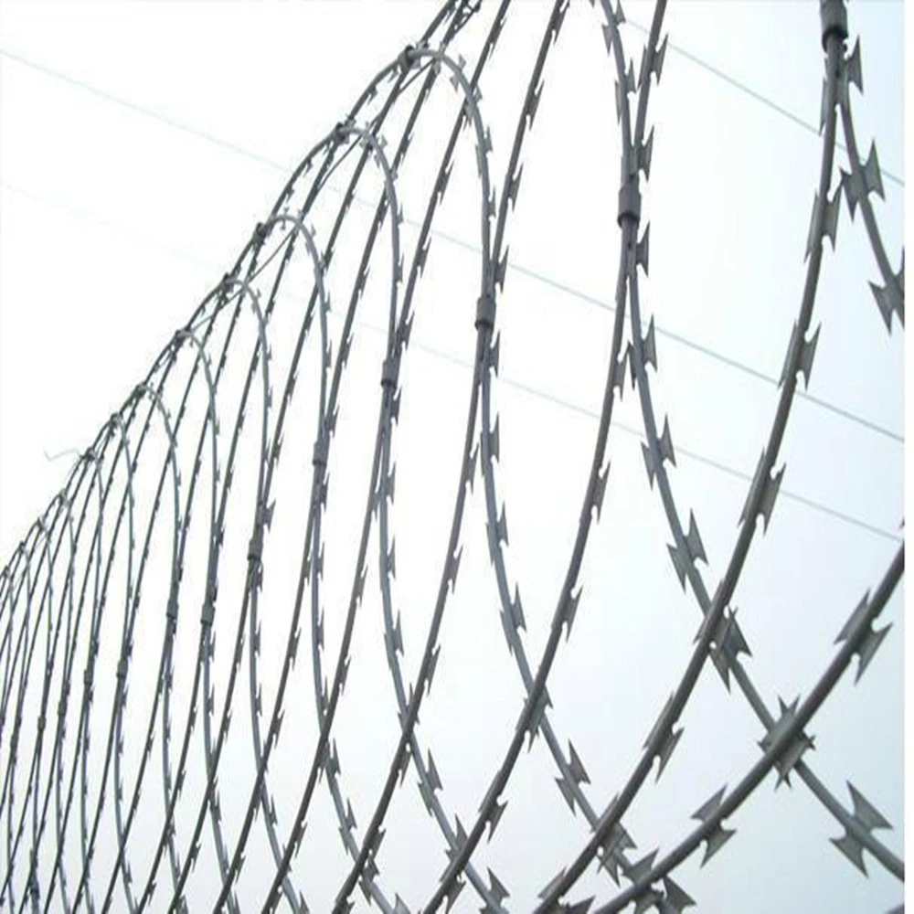 Razor Barbed Wire Concertina Wire for sales