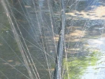 recycled material use sprinkler belt production line water sprinkler making machine irrigation spray machine