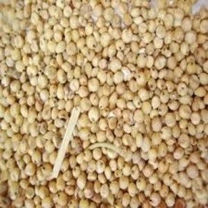 Red And White Sorghum For Sale / Sorghum Flour White / Sorghum grains