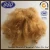 Import regenerated wool replacement fiber from China
