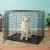 Import Reinforced And Exquisite Pet Cage Dog Cages from China