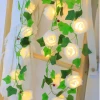 Rose Lights Flashing String Proposal Romantic Trunk Surprise Birthday LED 30 Plastic Garden 55 60 Holiday Decoration 80 DC 6V