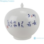 Rzte08 Jingdezhen Hand Painted Blue and White Ceramic Watermelon Shape Jar