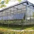 Import Sainpoly cheap agriculture multi-span glass greenhouse hydroponic greenhouse from China