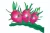 Import SELL FRESH DRAGON FRUIT - BEST PRICE AND GOOD QUALITY from South Africa