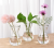 Import simple transparent water plant cultivation glassware European creative green radish living room glass flower pot from China
