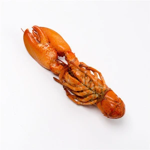 Singapore Food Suppliers Lobster