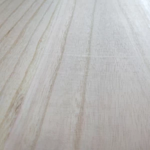 Solid panels/boards beech Paulownia Wood Suppliers for furniture